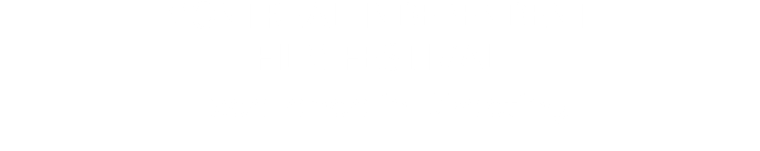 MONTREAL INDEPENDENT FILM FESTIVAL Excellence in Directing
